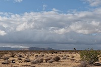 DSC_0770